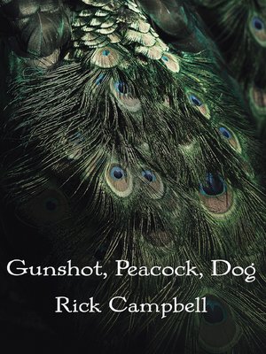 Gunshot, Peacock, Dog - ebook